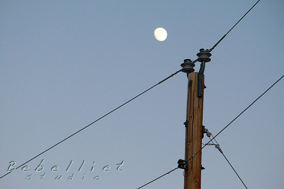 IMG_1963.JPG