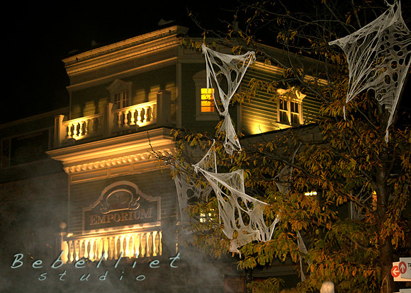 IMG_8024.JPG copy copy